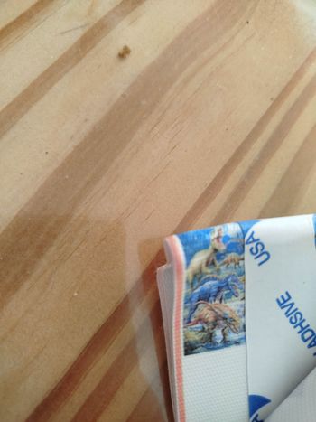 Diamond painting dinosaures 