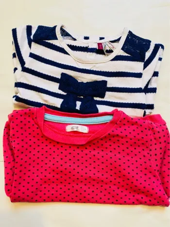 2 pulls fille 12 mois