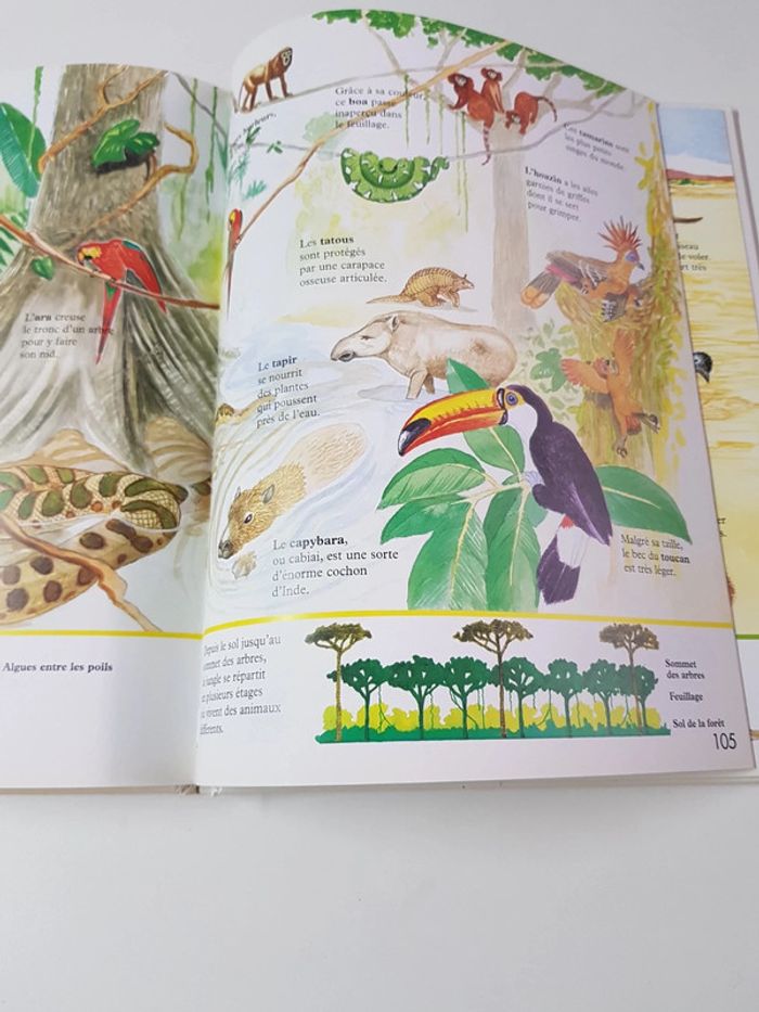 Livre : Ma première encyclopédie ( 125 pages ) - photo numéro 4