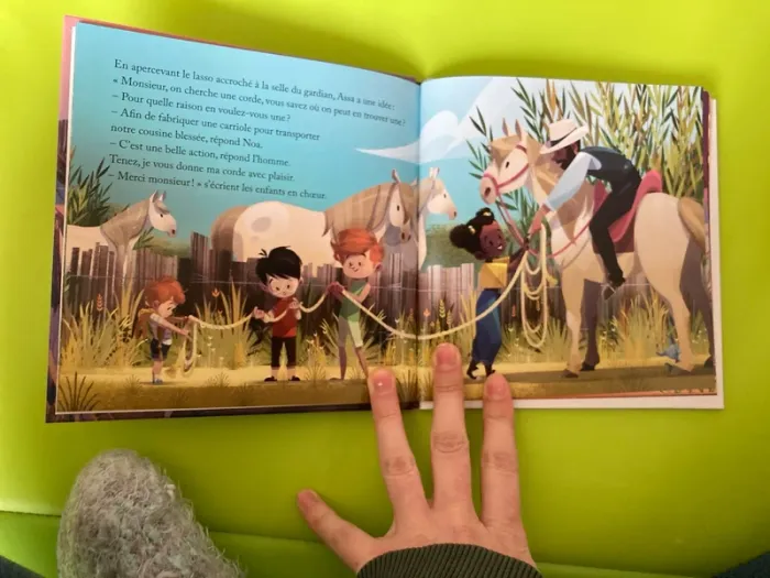 Livre McDo : une carriole dans la Camargue - photo numéro 3