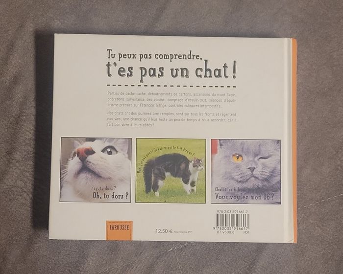 Tu peux pas comprendre, t'es pas un chat ! Alice Zabée, Aurélie Lemoine - photo numéro 7