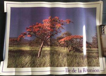 Lot de 2 posters