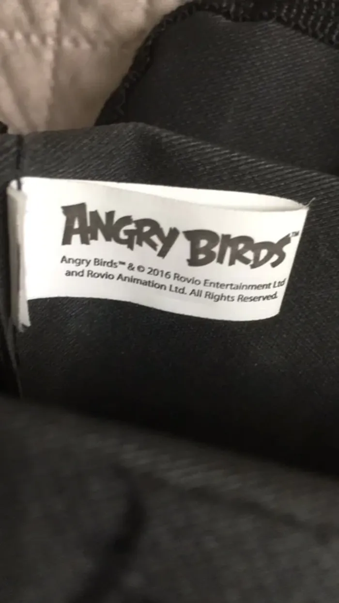 Pochette Angry Birds - photo numéro 3