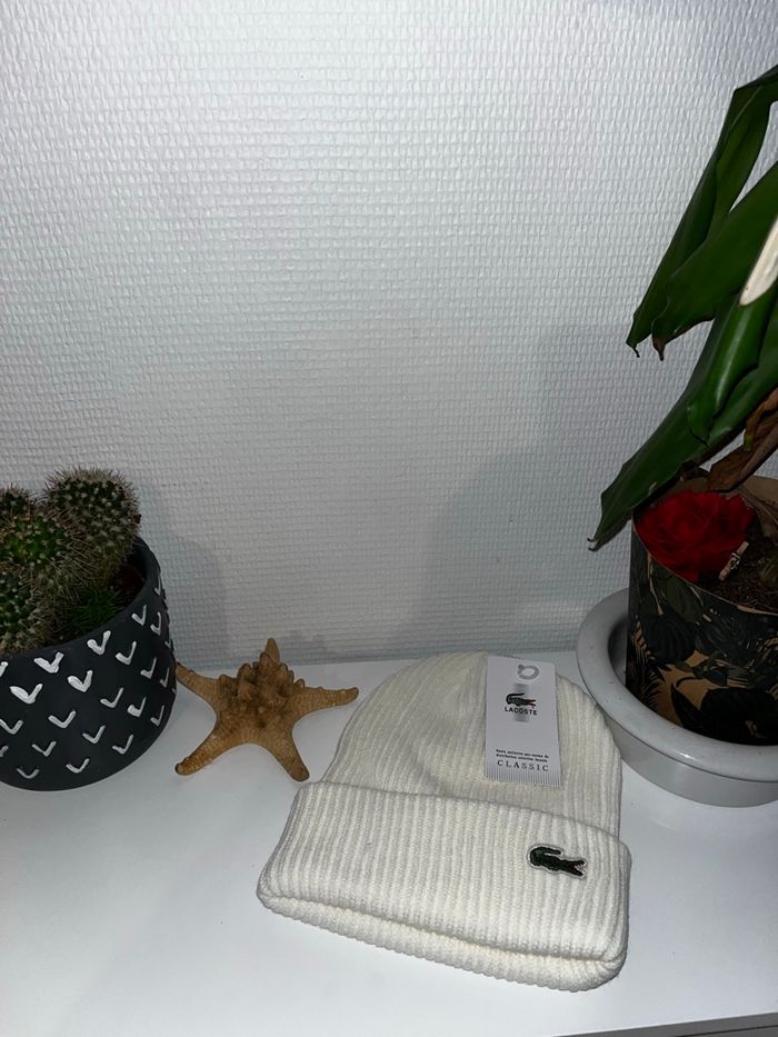 Bonnet - photo numéro 2