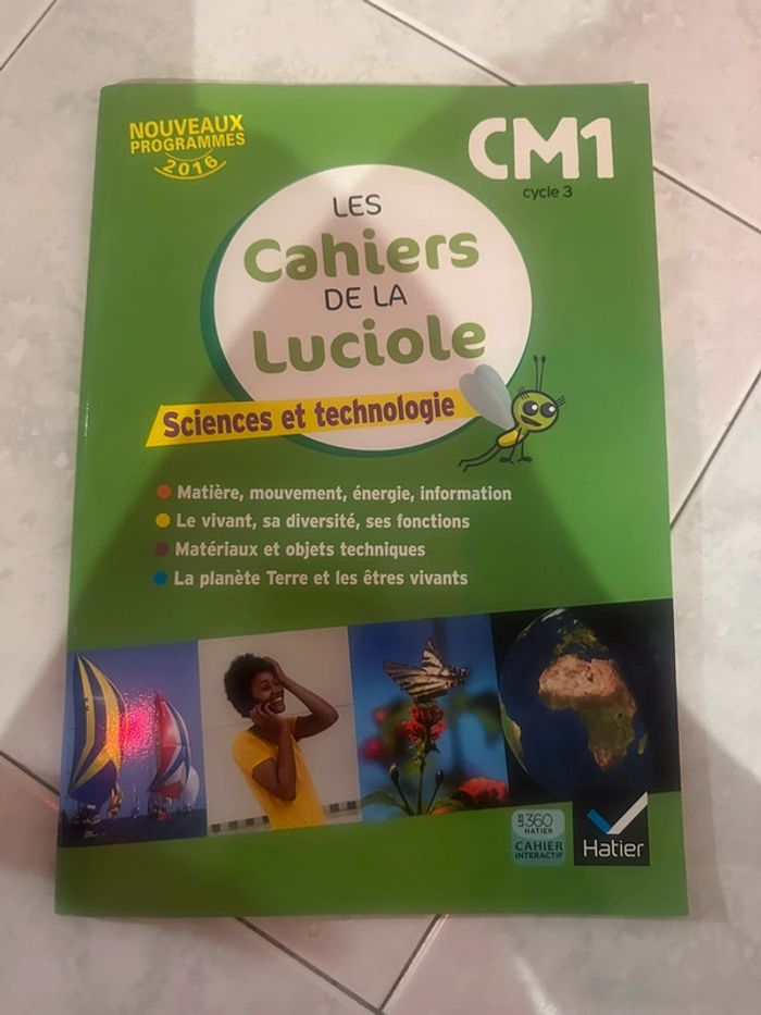 Les cahiers de la luciole au cycle 3 sciences et technologie