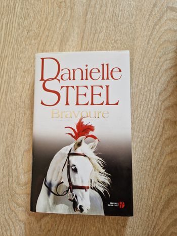 Livre Danielle Steel "Bravoure"