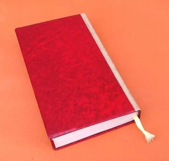 Paulette Houdyer Le diable dans la peau - photo numéro 4