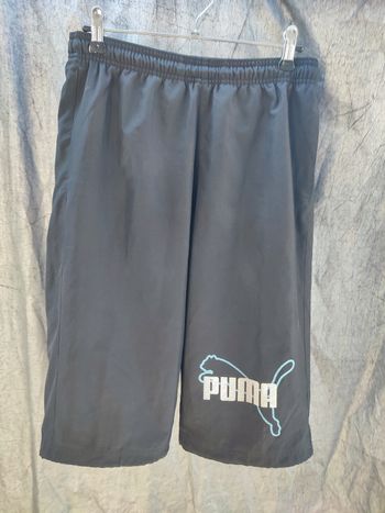 Pantacourt puma