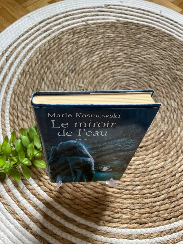 Livre - le miroir de l’eau - photo numéro 2