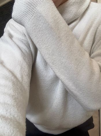 Pull col roulé 