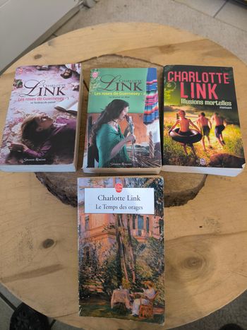 Livres Charlotte Link.