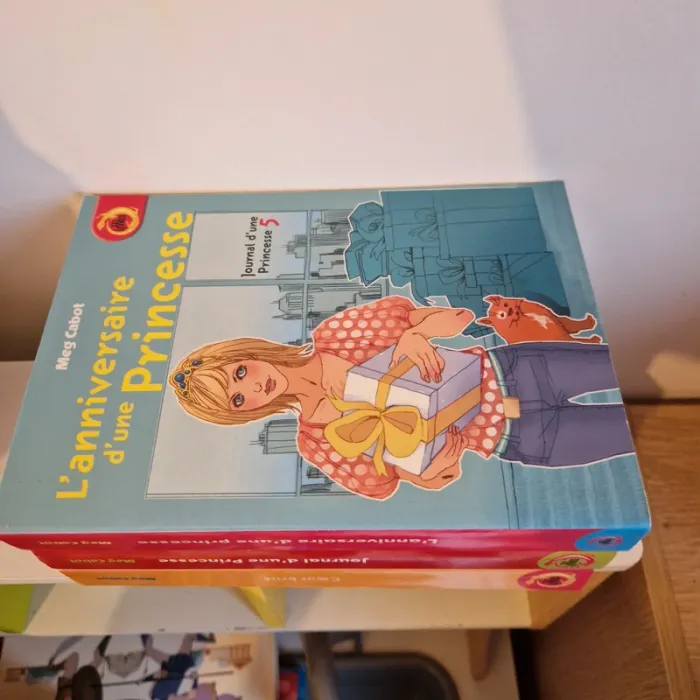 Livre journal d'une princesse - photo numéro 4
