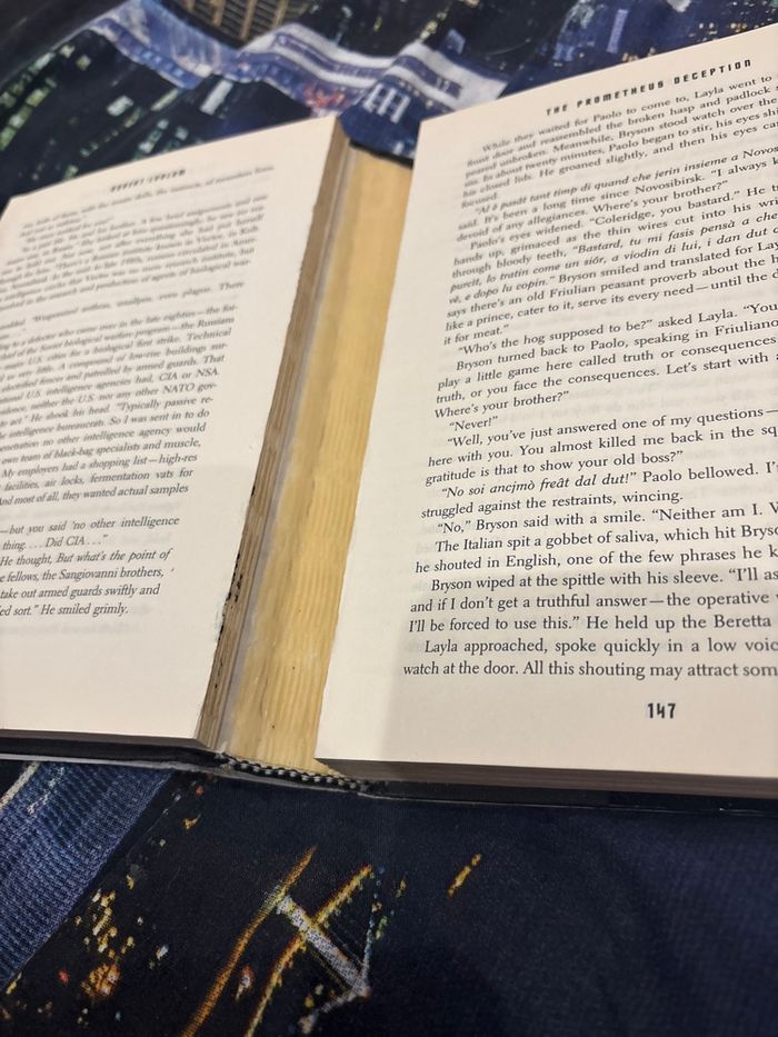 Livre Robert lublum - photo numéro 2