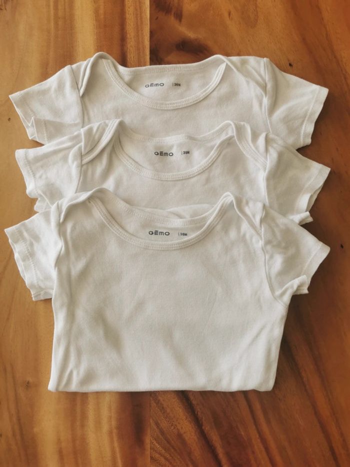 Lot de 3 bodies manches courtes
