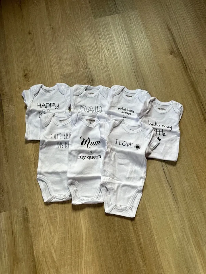 Lot 7 bodies