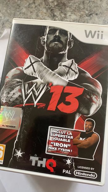 W13 pc