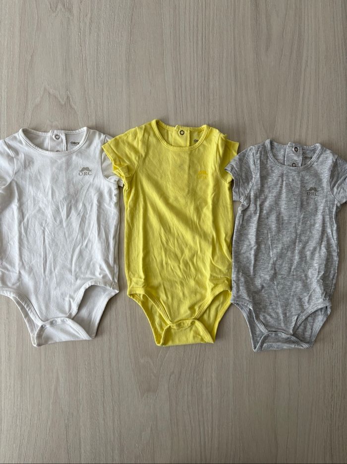 Bodies