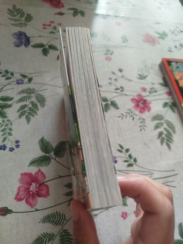 Livre one pièce - photo numéro 4