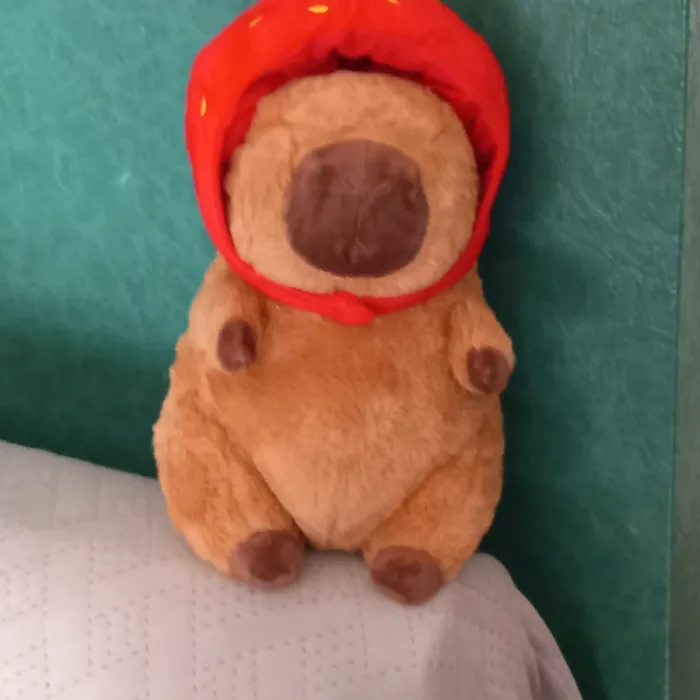 Peluche Capybara - photo numéro 4