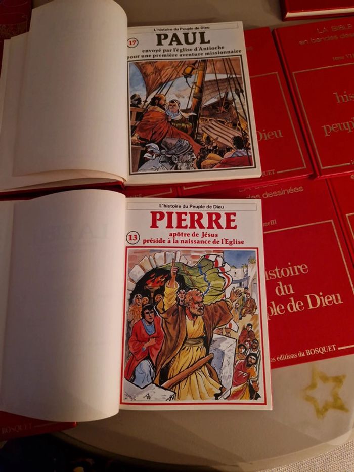 Histoire du peuple de dieu en BD. - photo numéro 10