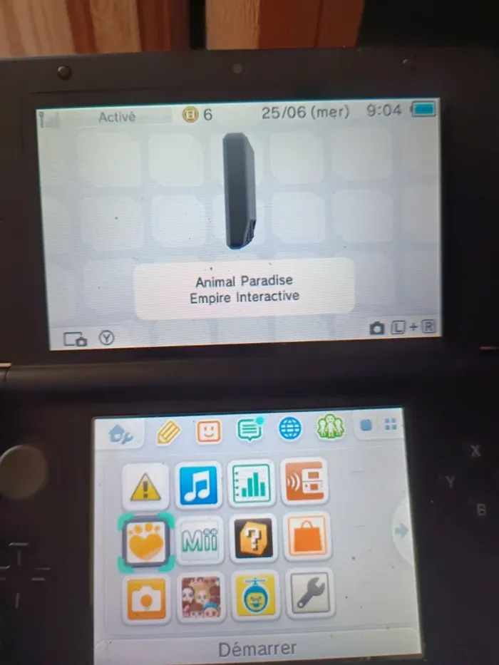 Jeu DS animal paradise - photo numéro 6
