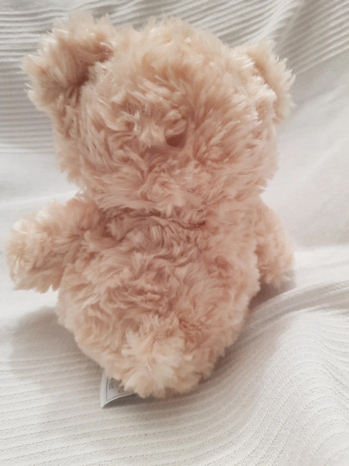 Ourson Histoire d'ours - photo numéro 4