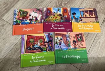 Livres musées magiques McDo