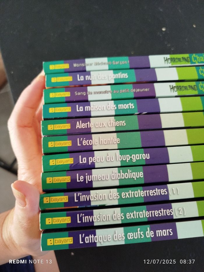 Lot 11 livres chair de poule - photo numéro 5