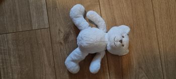 Ours peluche obaïdi