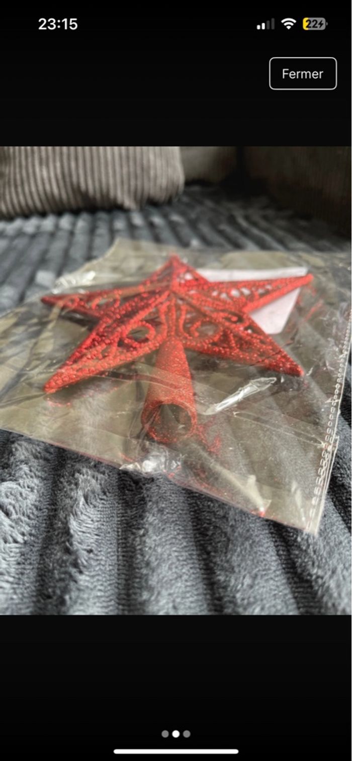 Étoile Noël - photo numéro 2