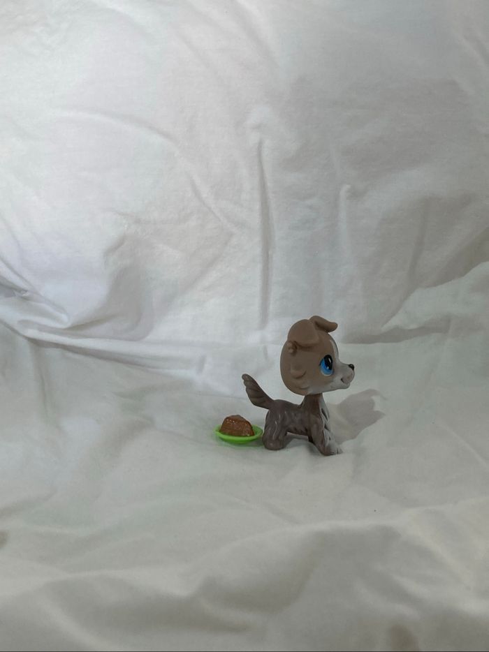 lps colley - photo numéro 6