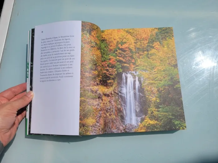 Shinrin Yoku, L'art et la science du bain de forêt, Dr Qing Li, Grand format - photo numéro 3