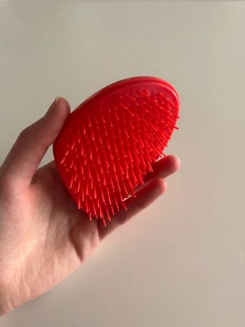 Brosse à cheveux Dessata
