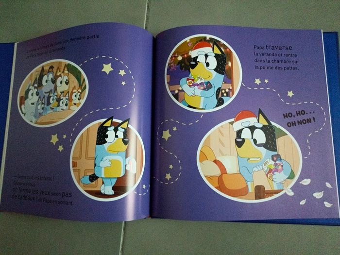 Lot de livres de Noël : Bluey, Pat' Patrouille Paw Patrol, Monsieur Loup,  La Petite fille - photo numéro 2