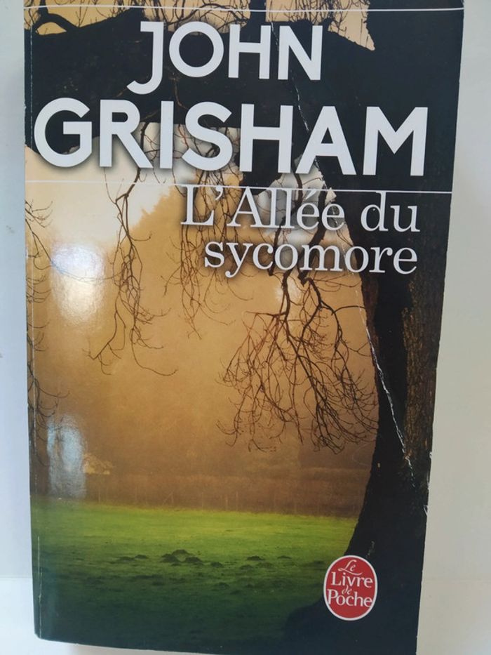 L'allée du Sycomore.