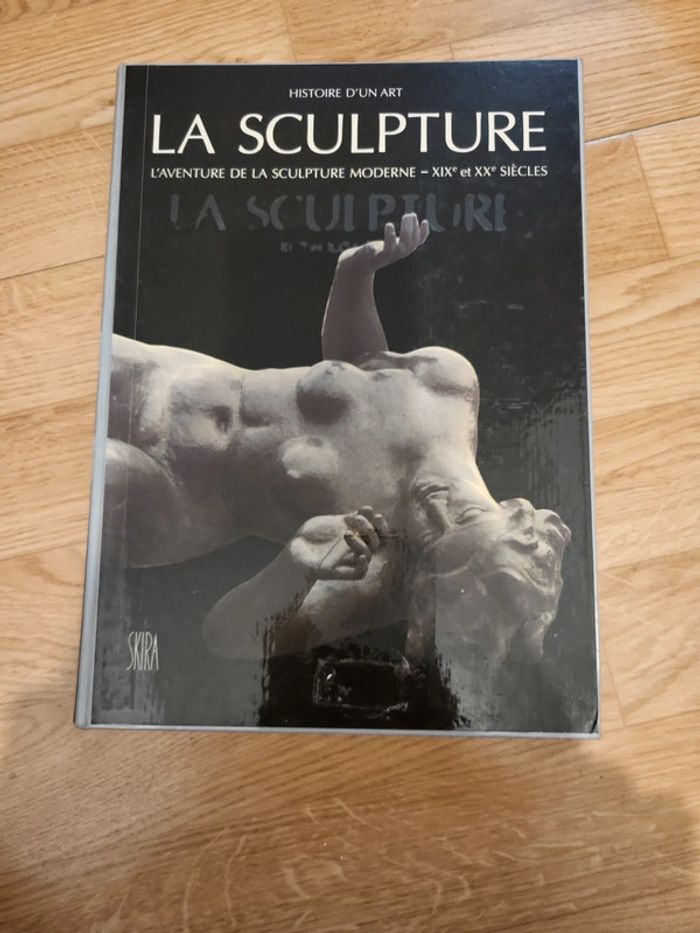 La sculpture l'aventure de la sculpture moderne XIX et XX e siècles