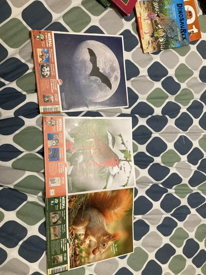 Lot 3 livres wakou - photo numéro 5