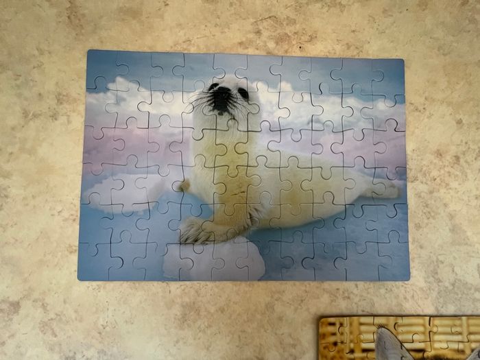 Lot de puzzles animaux - photo numéro 3