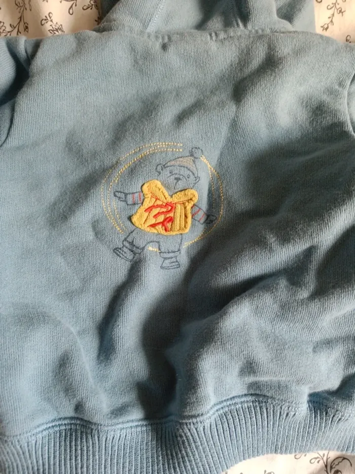 Veste à capuche Petit Bateau bleue zippée 74cm - photo numéro 3