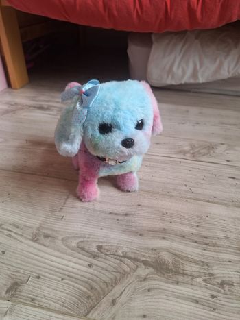 Petit chien interactif