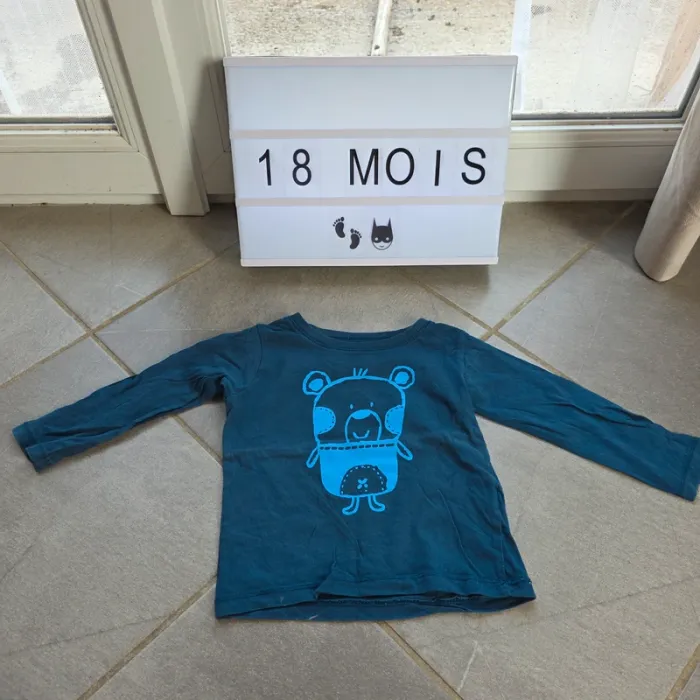 Lot vêtements 18 mois - photo numéro 3