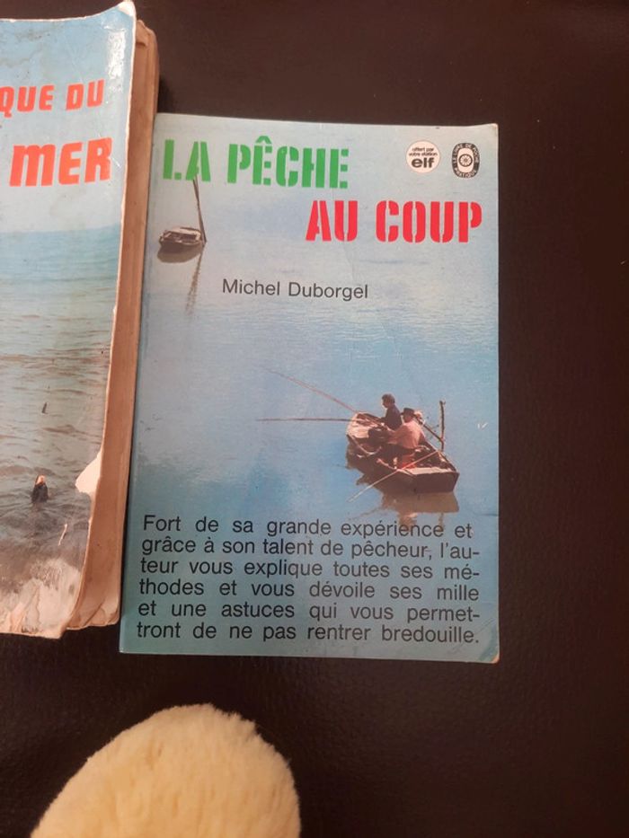 Lot de 2 livre pratique pêche - photo numéro 3