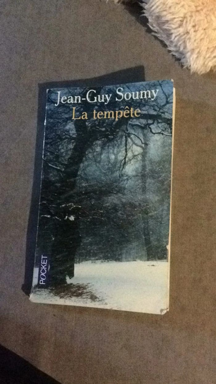#la tempête Jean Guy Soumy
