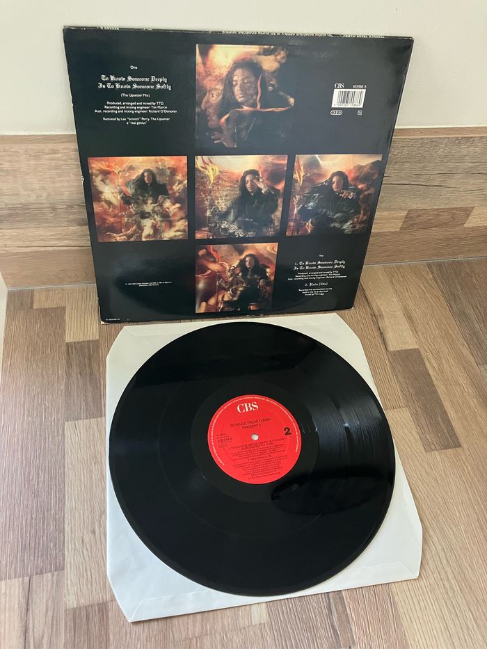 Maxi 45 tours-Terence Trent d’Arby-to know someone deeply… - photo numéro 2