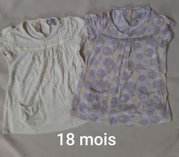 lot de 2 tee-shirts / tuniques manches courtes - Kimbaloo - 18 mois