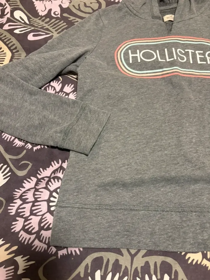 Lot de 2 sweats à capuche hollister taille s - photo numéro 10