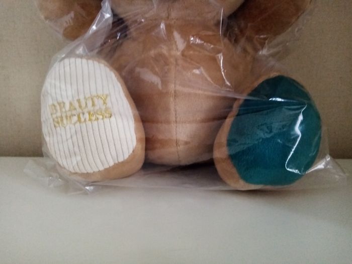 Nounours BS - photo numéro 4