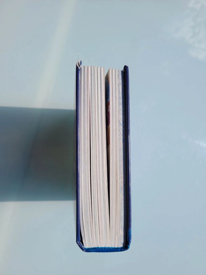 Livre Le Secret des Fées des océans 🧜 Téa Stilton (49) - photo numéro 18