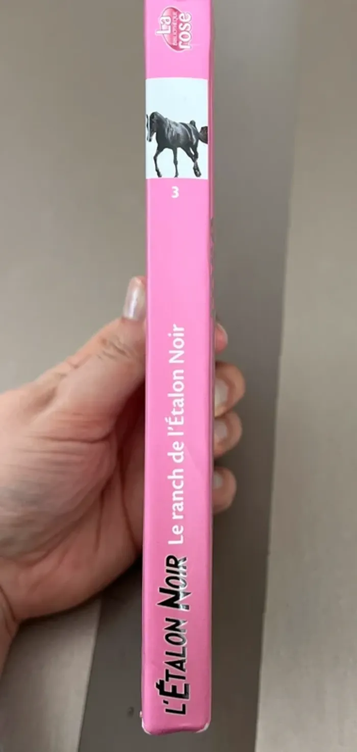 Livre jeunesse « le ranch de l’étalon noir » - photo numéro 4