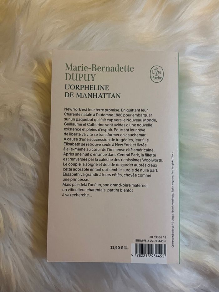 L’orpheline de Manhattan (la quête des origines) - photo numéro 2